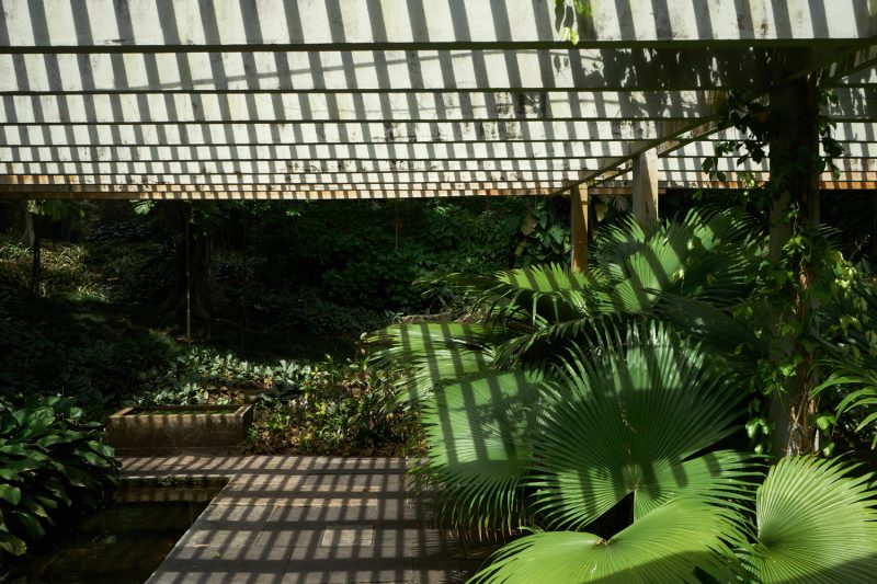Landscape Architect's Tropical Dreamscape Gearminded.com