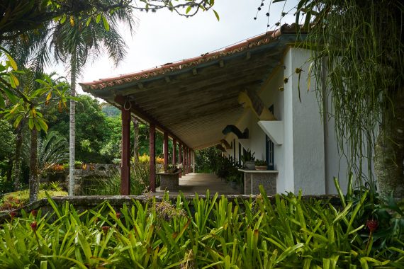 Sitio Burle Marx Gearminded.com