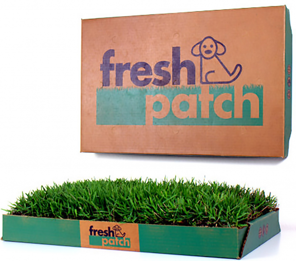 Fresh Patch Dog Grass