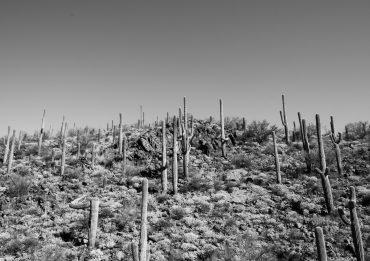 30 Photos of Arizona's Sonoran Desert | Gearminded