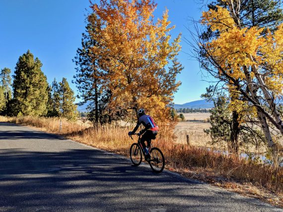 A bicyclist explores Cabarton Road along one of four new adventure-biking routes that use Cascade, Idaho, as a hub. (Photo courtesy of the West Central Mountains Economic Development Council)