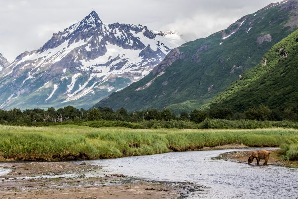 AdventureSmith Explorations, Alaska