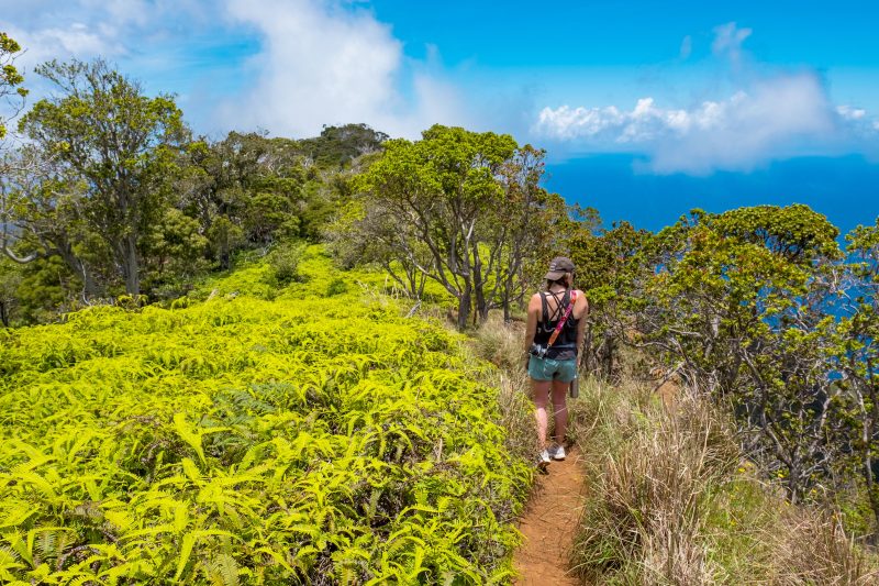 Kalalau Lookout