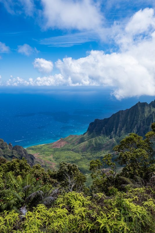 Kalalau Lookout Kauai