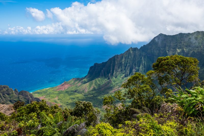 Kalalau Lookout Kauai