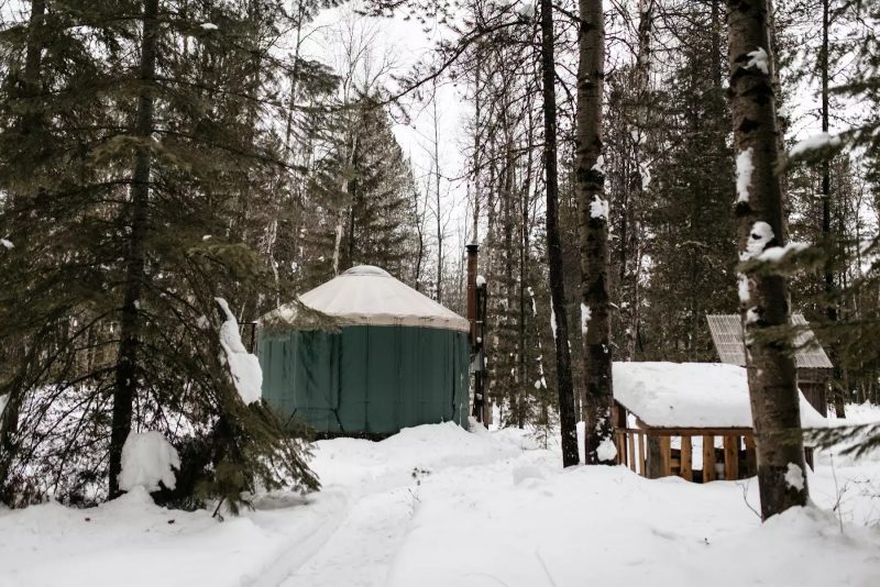 Small Yurt Tucked in the Woods (Sandpoint, Idaho) 