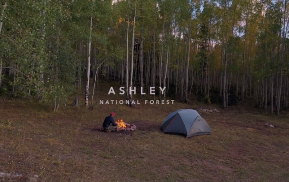 Camper sets up his tent and fire in Ashley National Forest