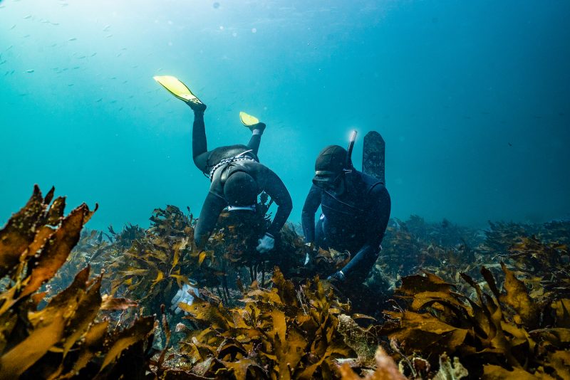 Two women diving or sea life in South Korea