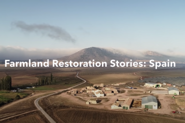 Farmland Restoration Stories: Spain