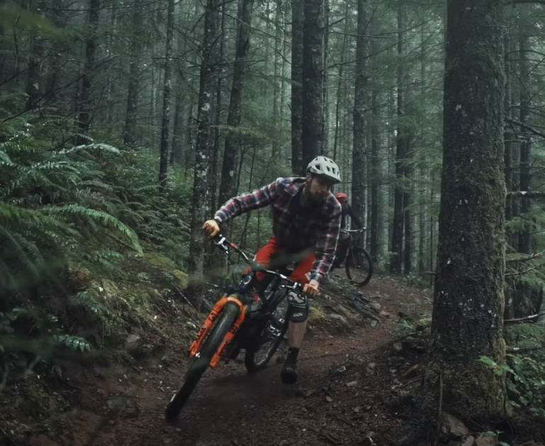 Mountain biker riding in a dense forest