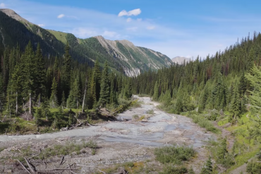 A view of the forest and rivers along the Rockwall Trail in Canada