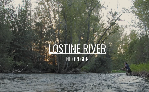 Man fishing the Lostine River in Oregon