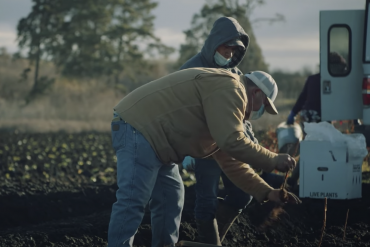 A hispanic farm owner shows workers how to tend the field using new tools