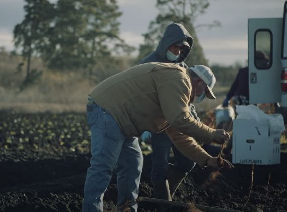 A hispanic farm owner shows workers how to tend the field using new tools