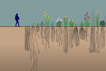 How your purchasing decisions can save our most endangered ecosystem. | Marshall Johnson | TEDxFargo