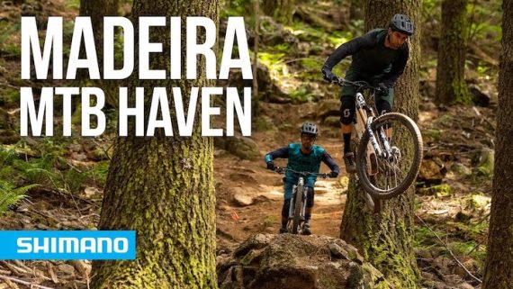 Two mountain bikers riding Madeira