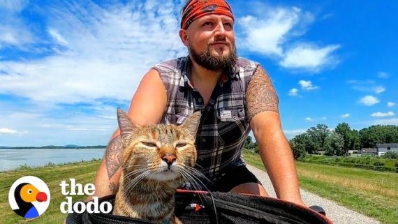 Man cycling with his cat