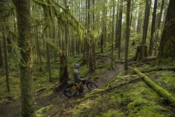 A mountain biker standing in a dense, green forest while looking at the trail