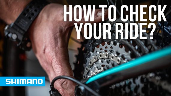 A man's hand gripping the rear cog of a mountain bike