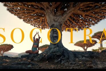 Chelsea Kauai doing yoga beneath a tree in Yemen