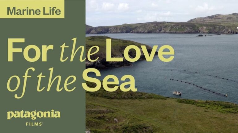 Patagonia Films For the Love of the Sea