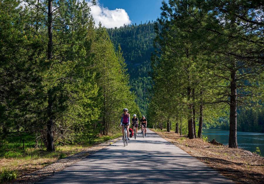 Three cyclists ride a lakeside trail between pine trees in Idaho 