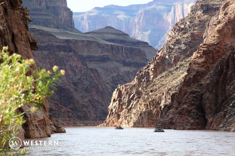 A scenic view of rafts full of paddlers in The Grand Canyon.