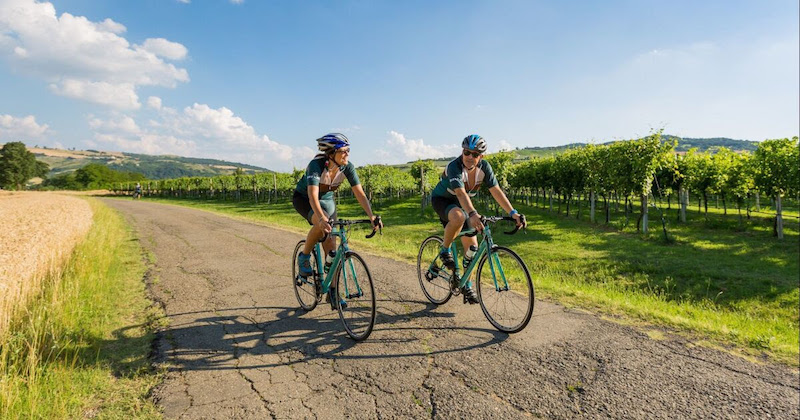 Man and women riding road bikes next to a vinyard.