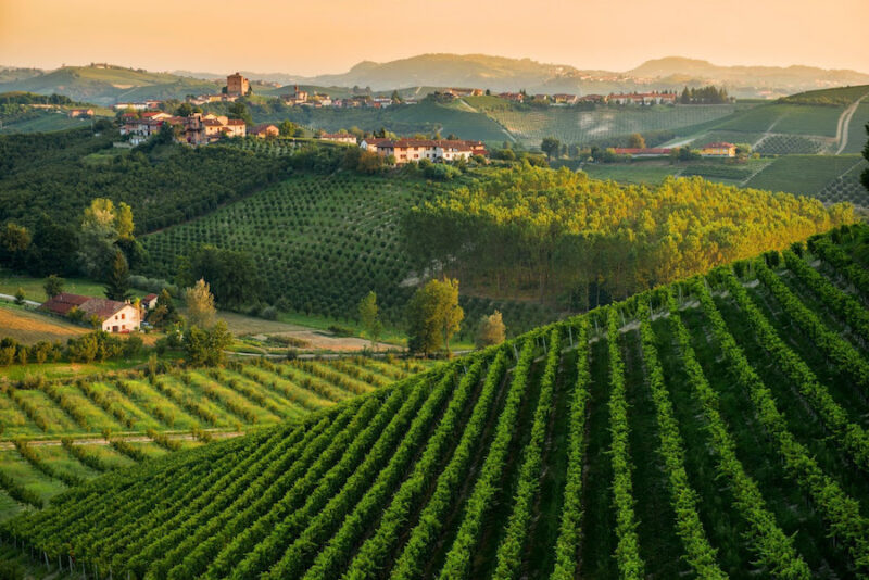 The wine region of Piedmont could very well be the ultimate destination for casual hikers who are also food and wine lovers