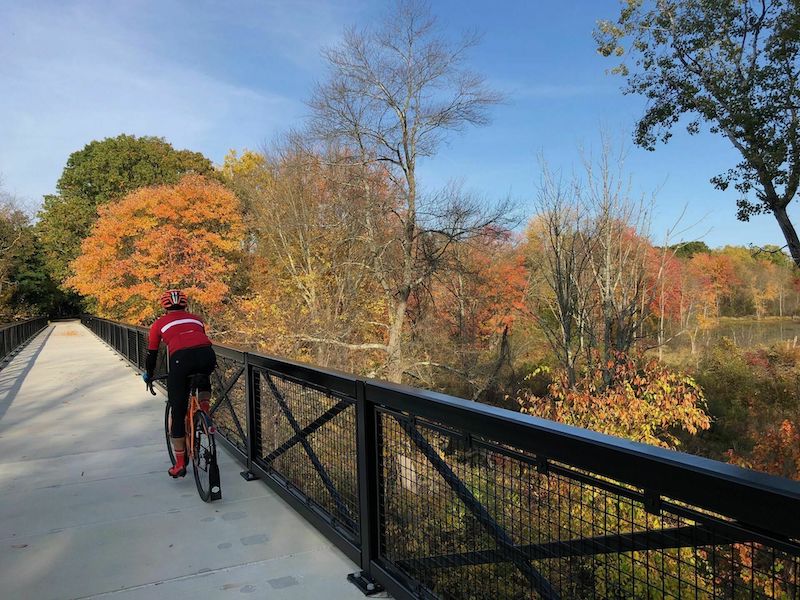 A road cyclist on a paved bikeway or bridge overlooking fall-colored trees near Boston, MA.